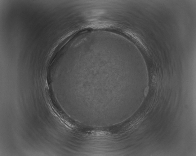 X0000084560539200702231235