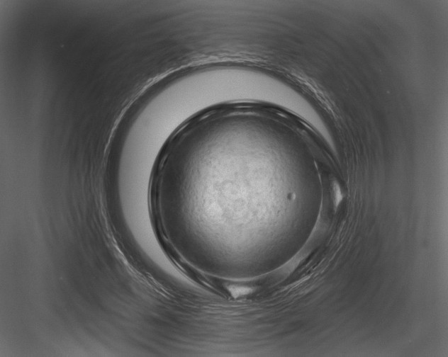 X0000084560540200702231235
