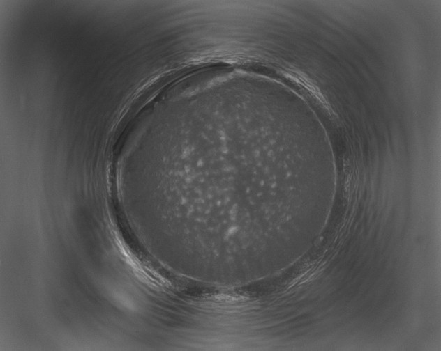 X0000084560542200702231235