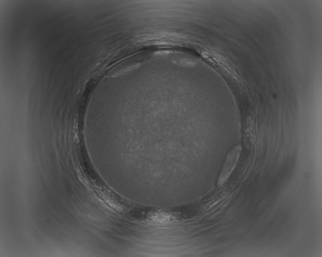 X0000084560547200702231235
