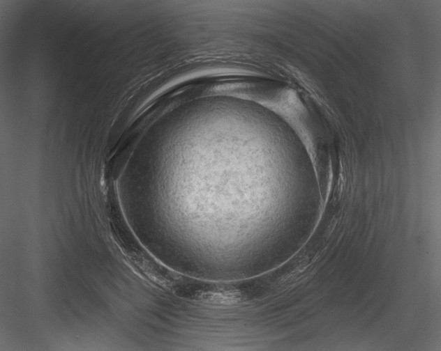 X0000084560548200702231235