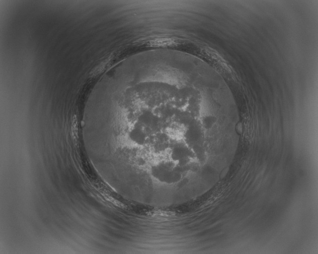 X0000084560549200702231235