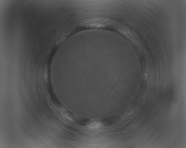 X0000084560551200702231235