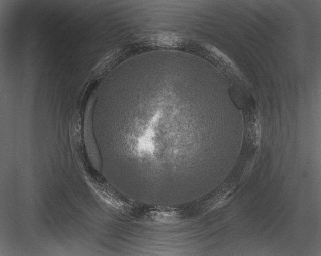 X0000084560552200702231235