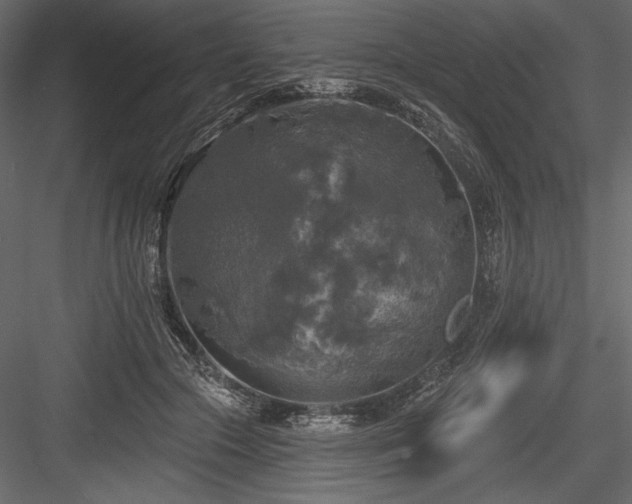 X0000084560553200702231235
