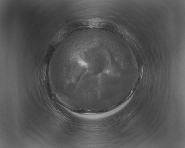 X0000084560554200702231235