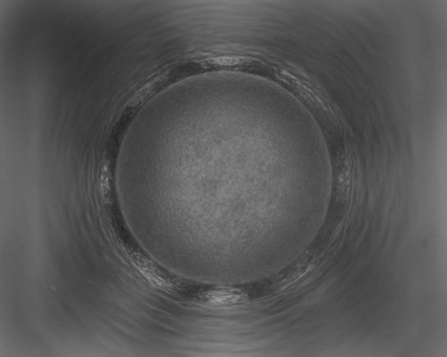 X0000084560555200702231235