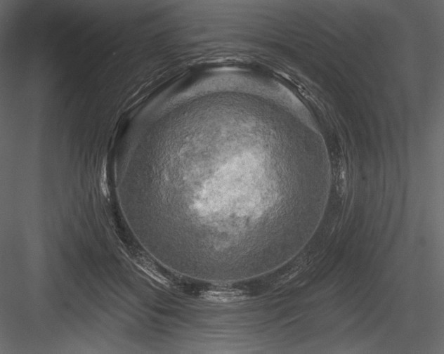 X0000084560556200702231235