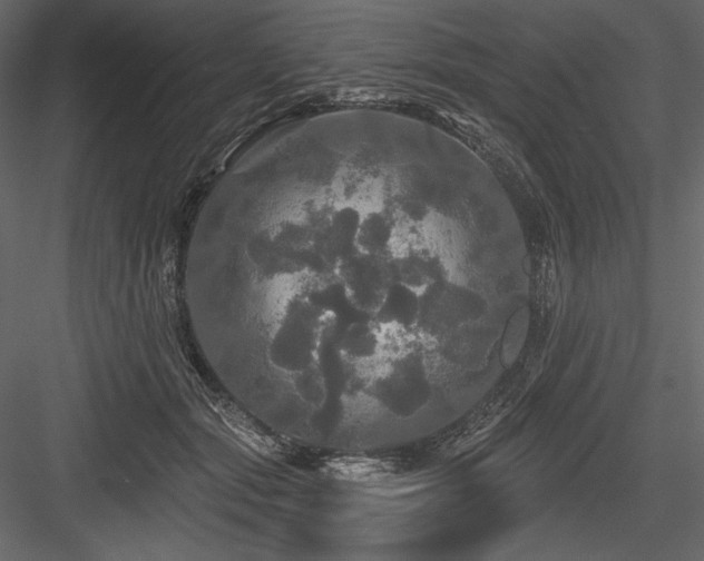 X0000084560557200702231235