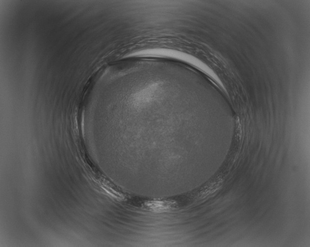 X0000084560558200702231235