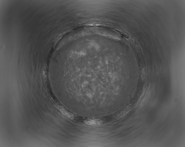 X0000084560561200702231235