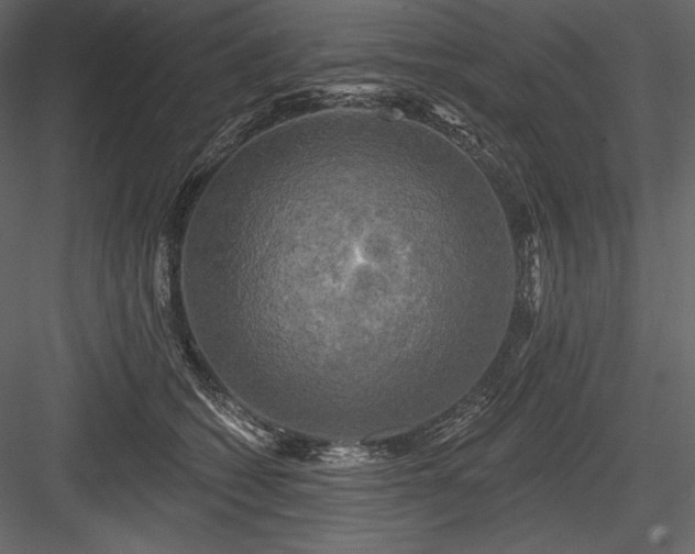 X0000084560562200702231235