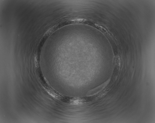 X0000084560564200702231235