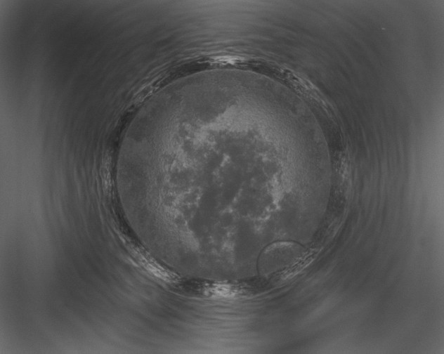 X0000084560565200702231235