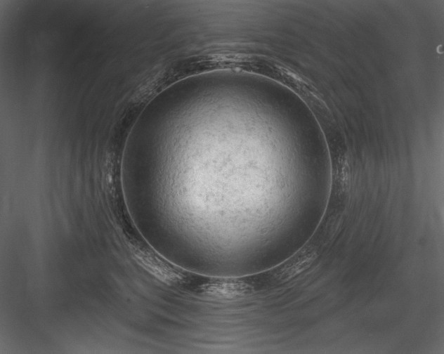 X0000084560567200702231235