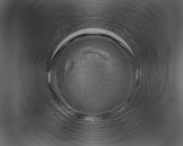 X0000084560568200702231235