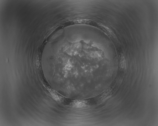X0000084560569200702231235