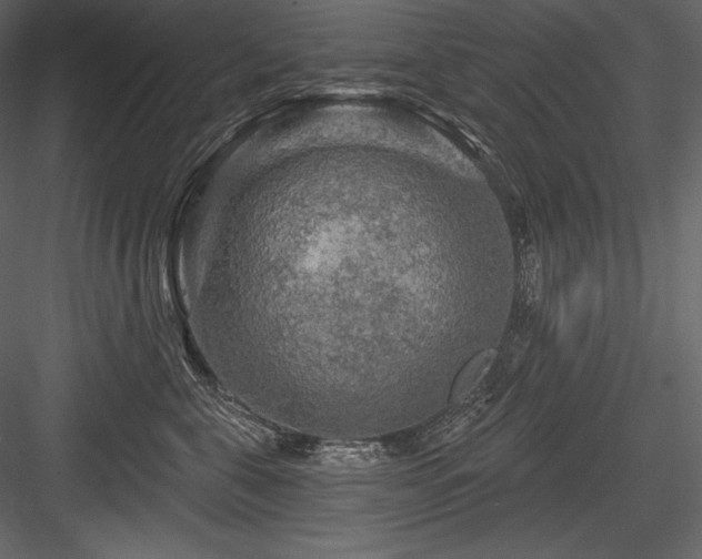 X0000084560571200702231235