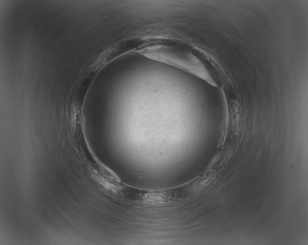 X0000084560574200702231235