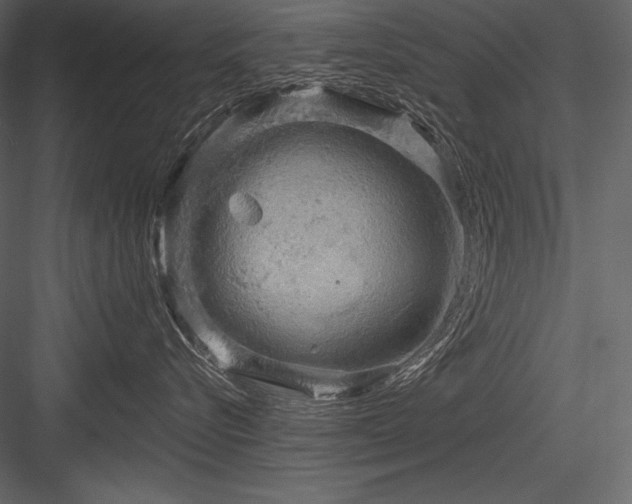X0000084560576200702231235