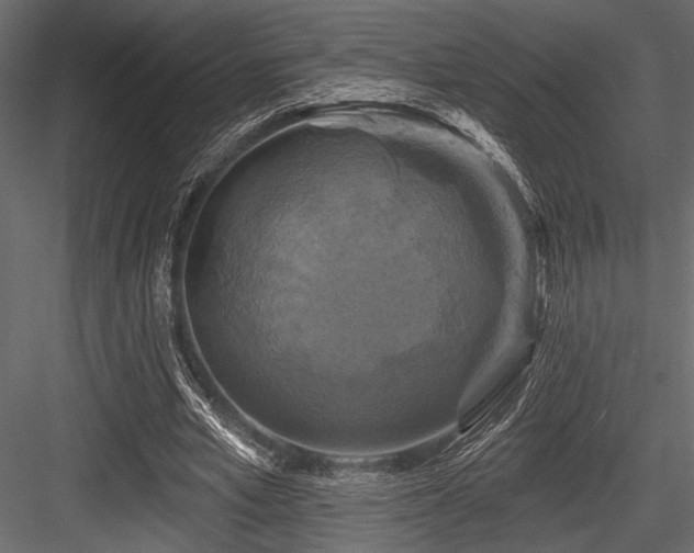 X0000084560581200702231234