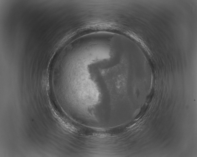 X0000084560582200702231234