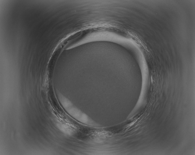 X0000084560583200702231234