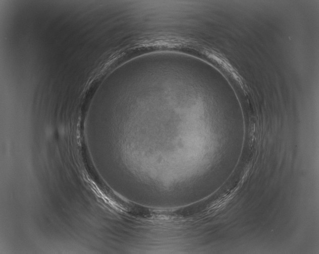 X0000084560585200702231234