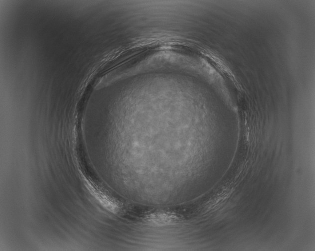 X0000084560586200702231234