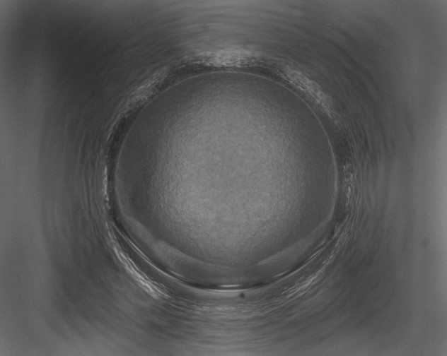 X0000084560589200702231234