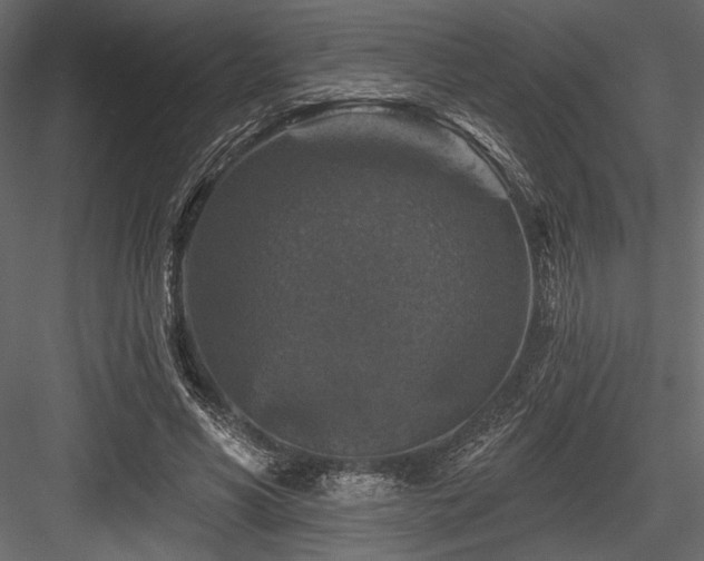 X0000084560590200702231234