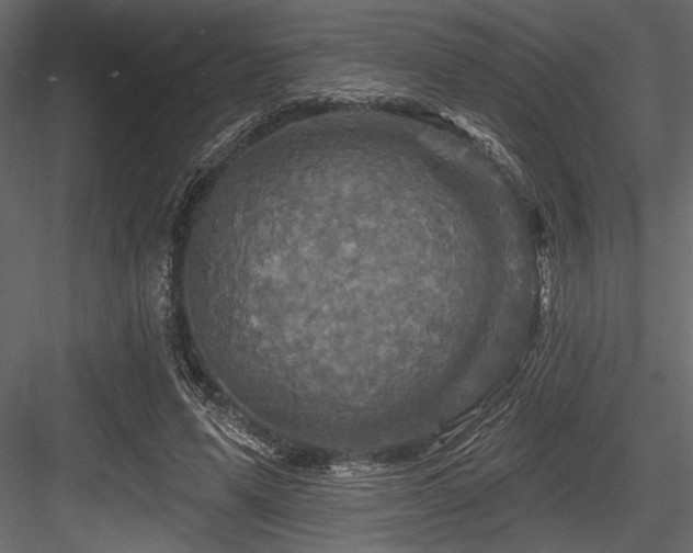 X0000084560591200702231234