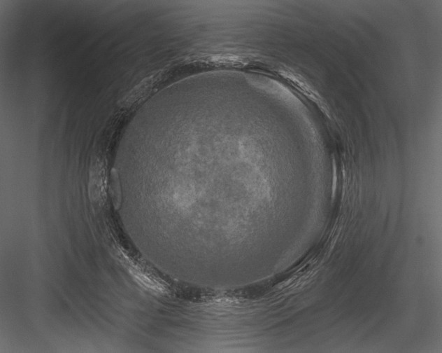 X0000084560593200702231234