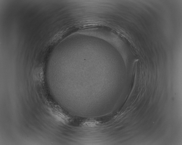 X0000084560595200702231234