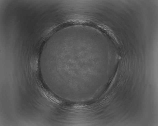 X0000084560596200702231234