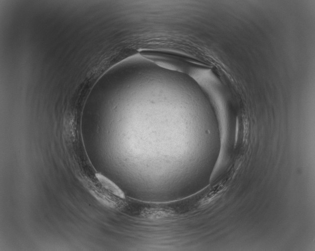 X0000084560597200702231234