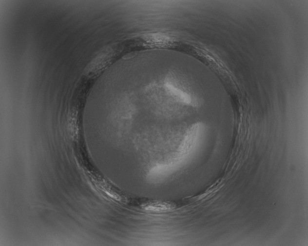 X0000084560599200702231234