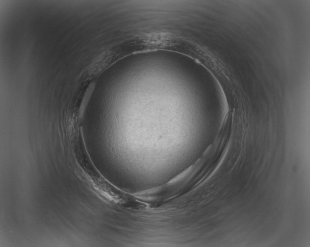 X0000084560601200702231234