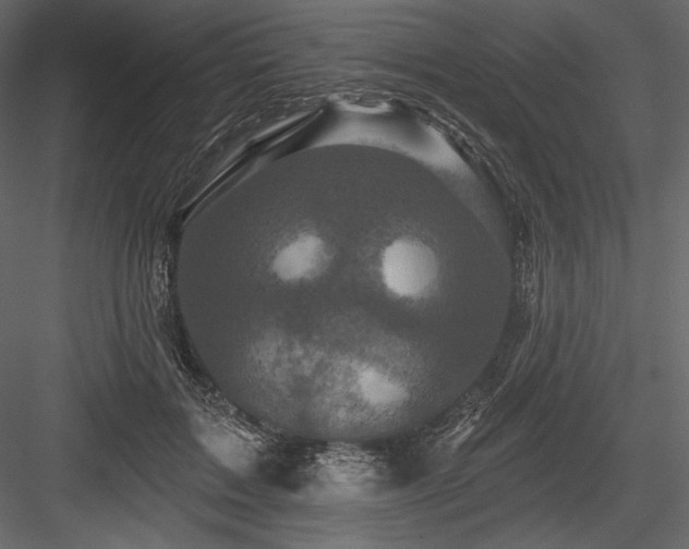 X0000084560603200702231234