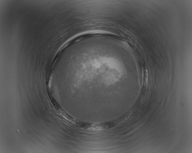 X0000084560604200702231234