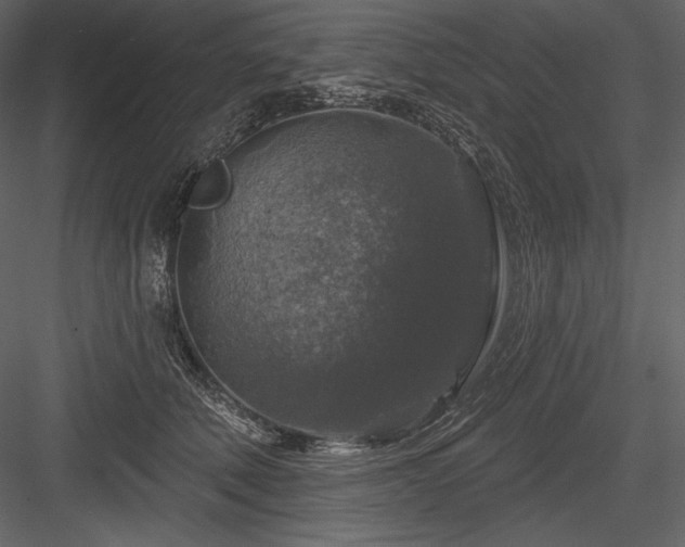 X0000084560610200702231234