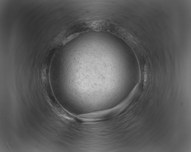 X0000084560611200702231234