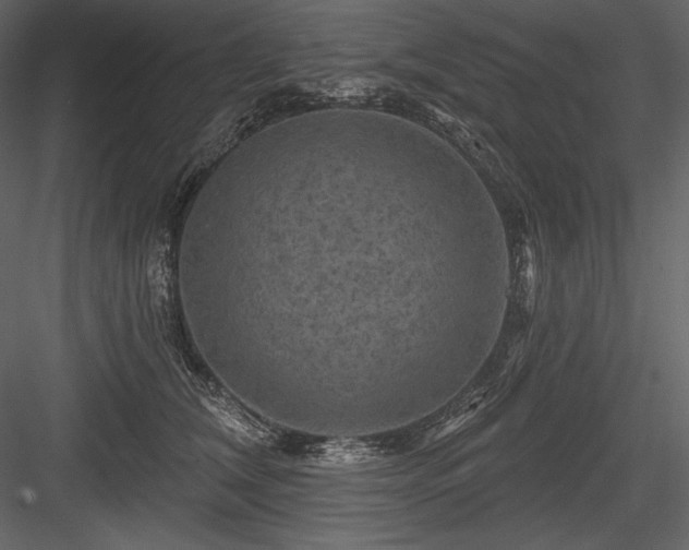 X0000084560612200702231234