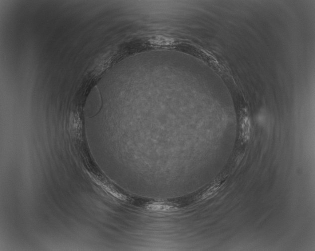 X0000084560614200702231234