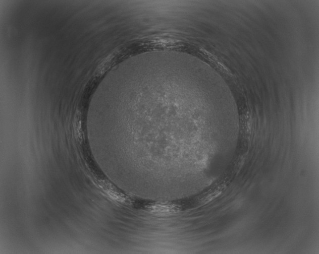 X0000084560615200702231234