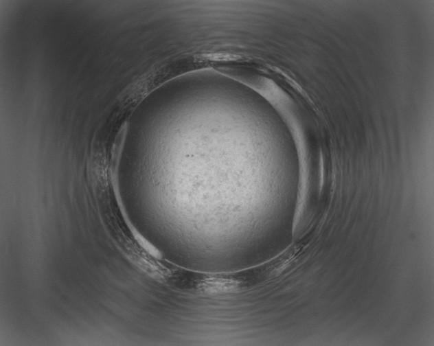 X0000084560617200702231234