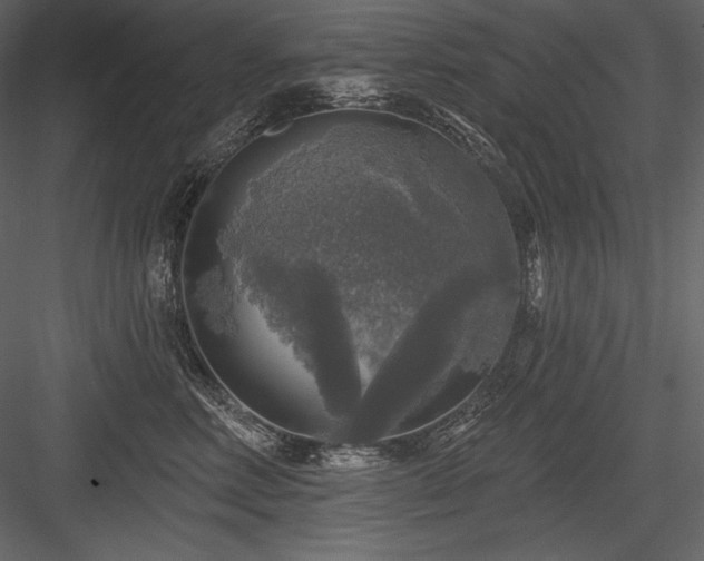 X0000084560618200702231234