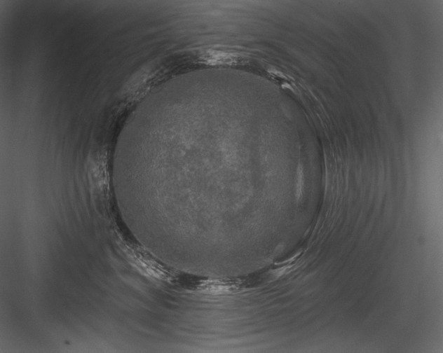X0000084560620200702231234