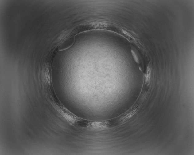 X0000084560622200702231234