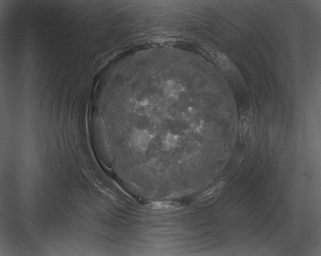 X0000084560623200702231234